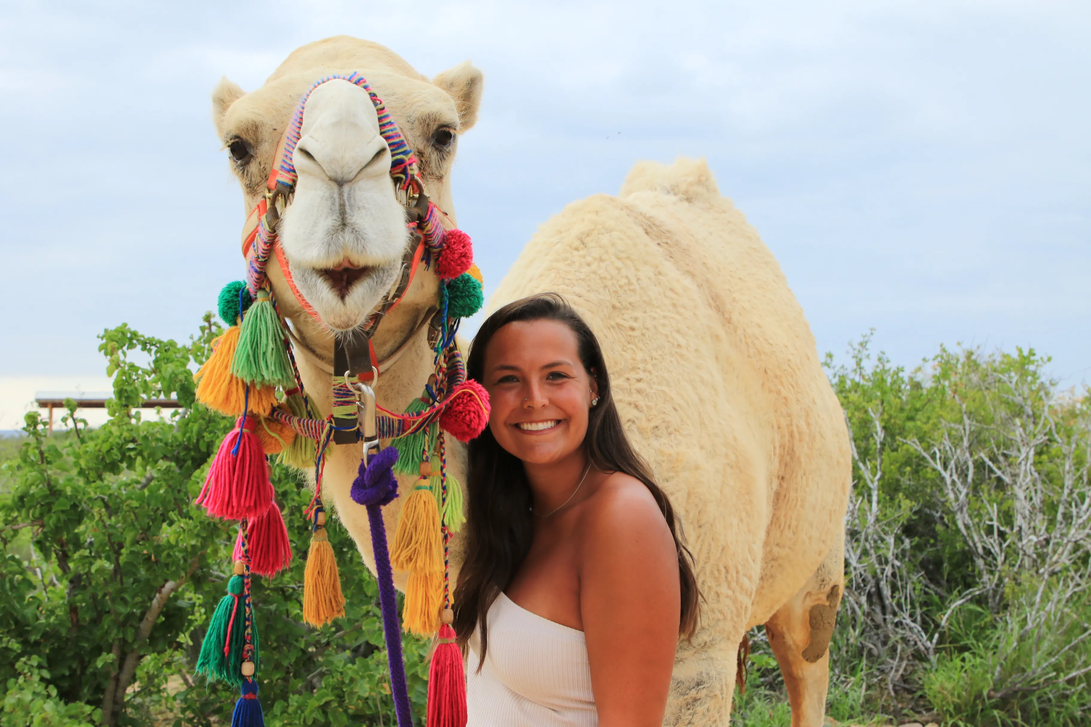 CAMEL RIDE, MEXICAN FOOD WITH TEQUILA & MEZCAL TASTING SESSION