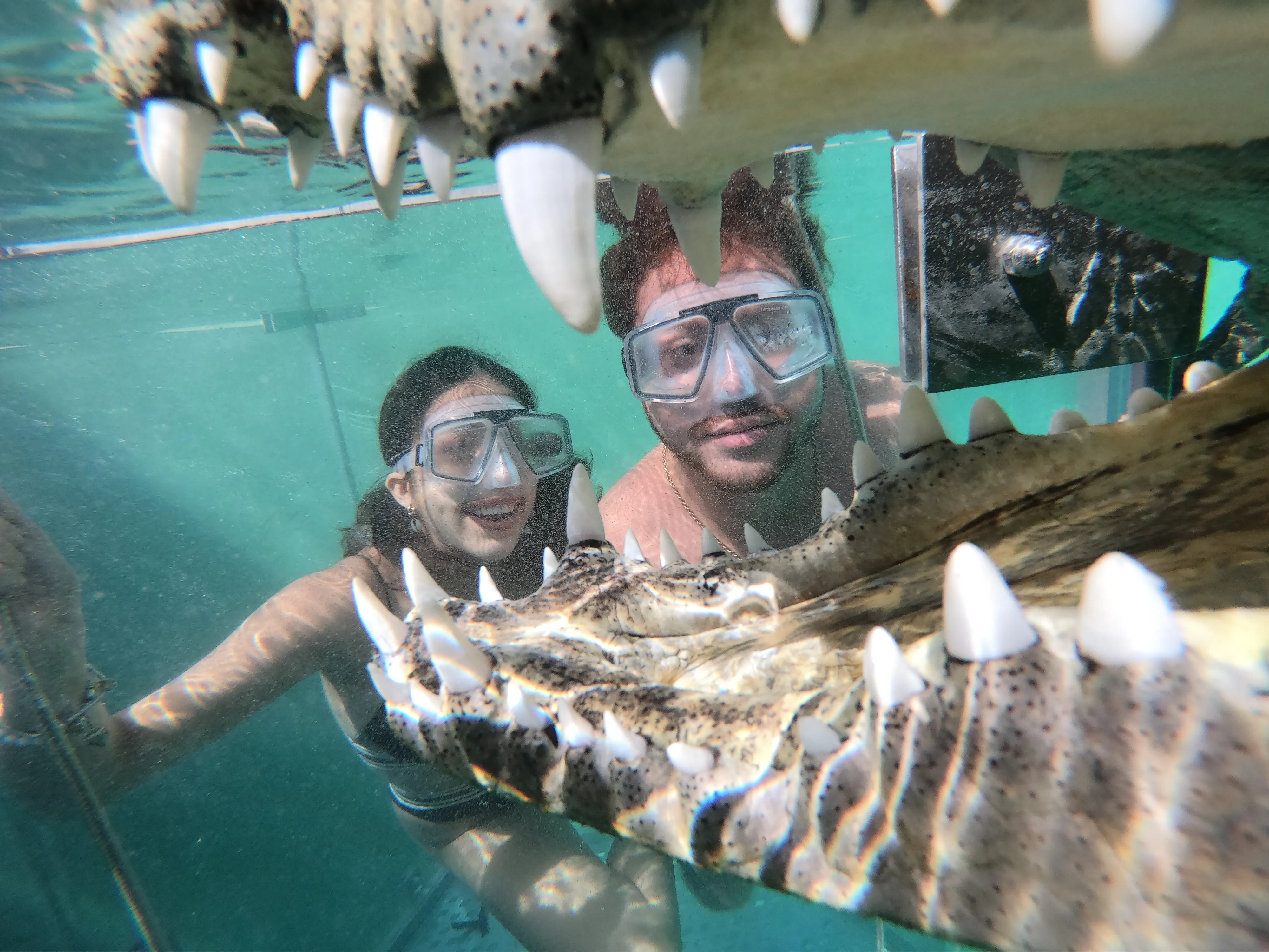 CROCODILE CAGE DIVING EXPERIENCE