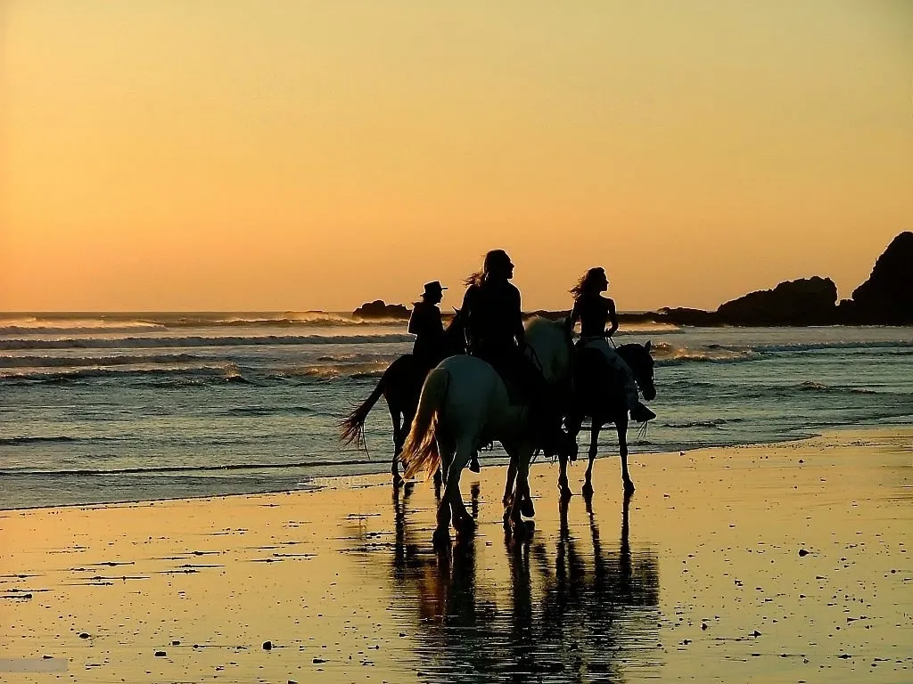 HORSEBACK RIDING BEACH & DESERT ADVENTURE