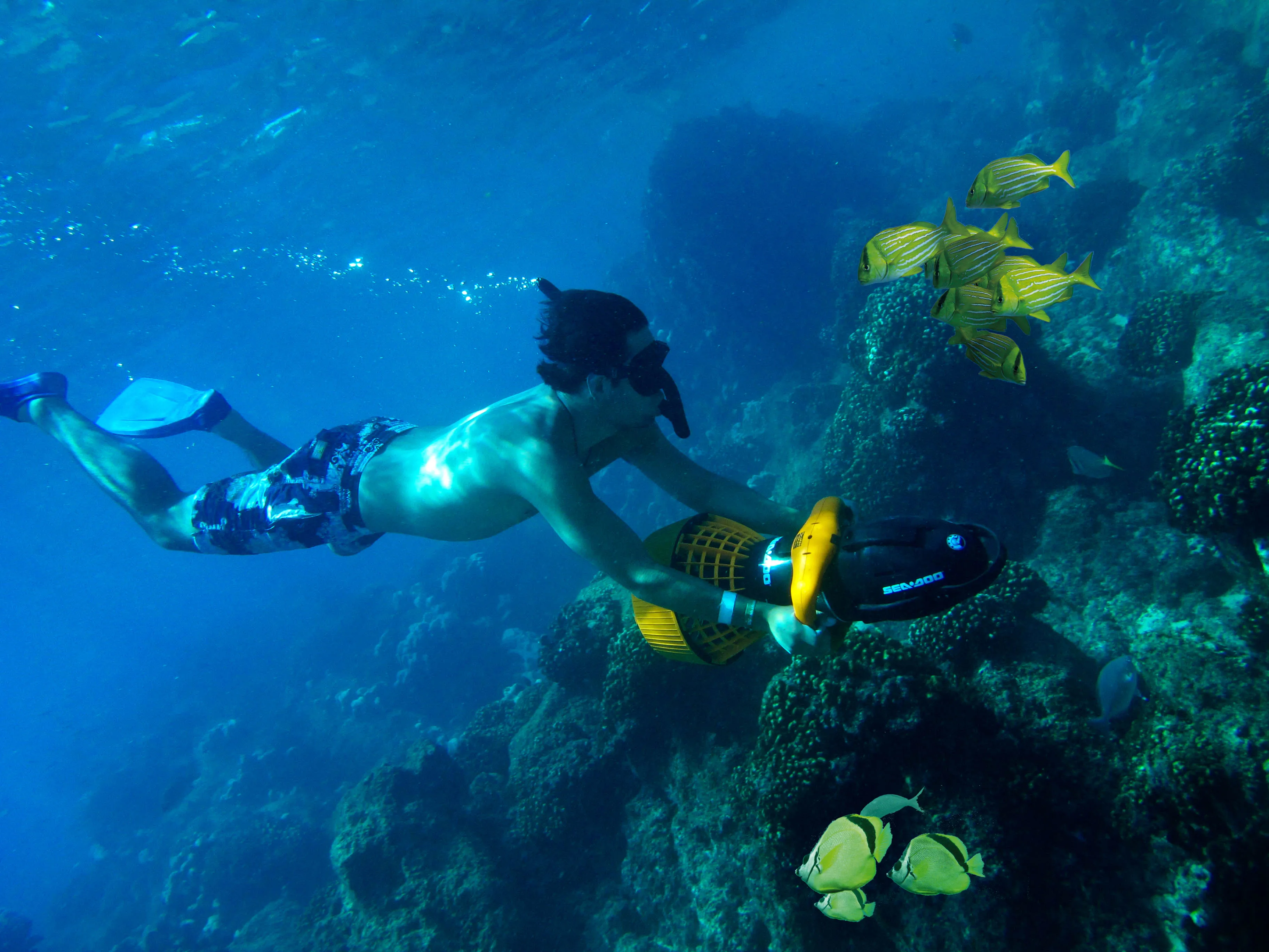 SNORKEL, SUP & KAYAK COMBO ADVENTURE